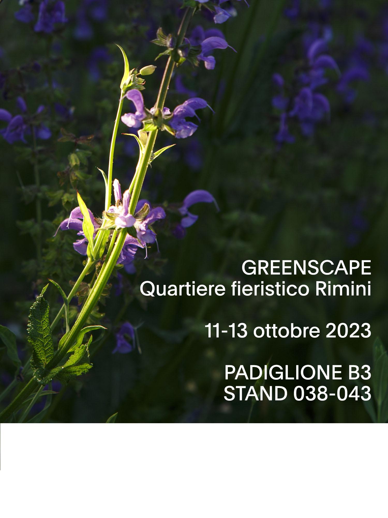 STRAL ai Lab Greenscape - InOut Rimini: 
&ldquo;Scorci Visivi&rdquo; 
la Natura protagonista nella quotidianit&agrave; dell&rsquo;Uomo
&nbsp;
&nbsp;