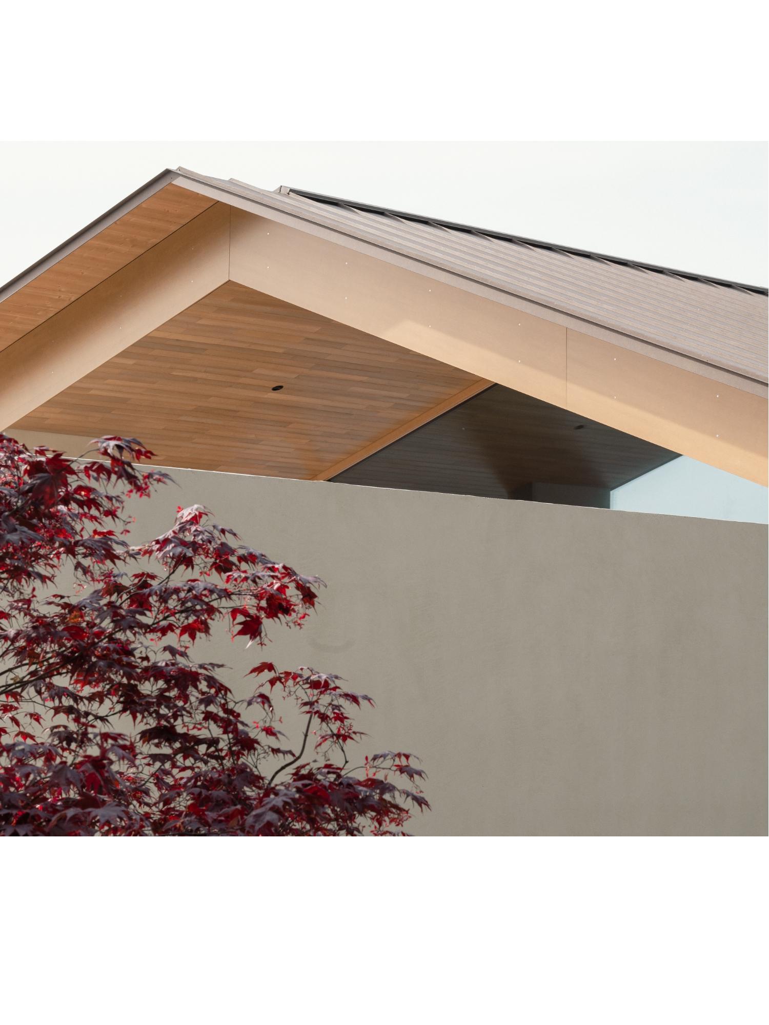 I have no idea what this is