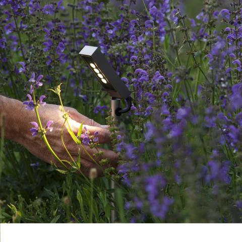 Éclairage de jardin: comment éclairer les arbustes et les buissons