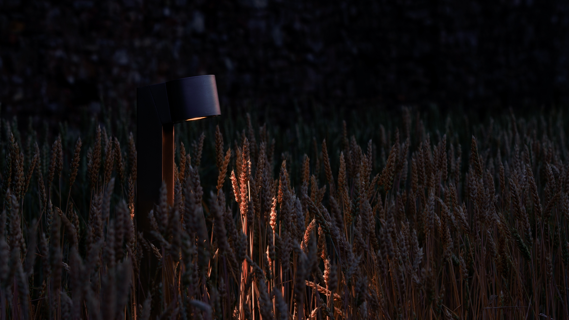 Conscious Lighting